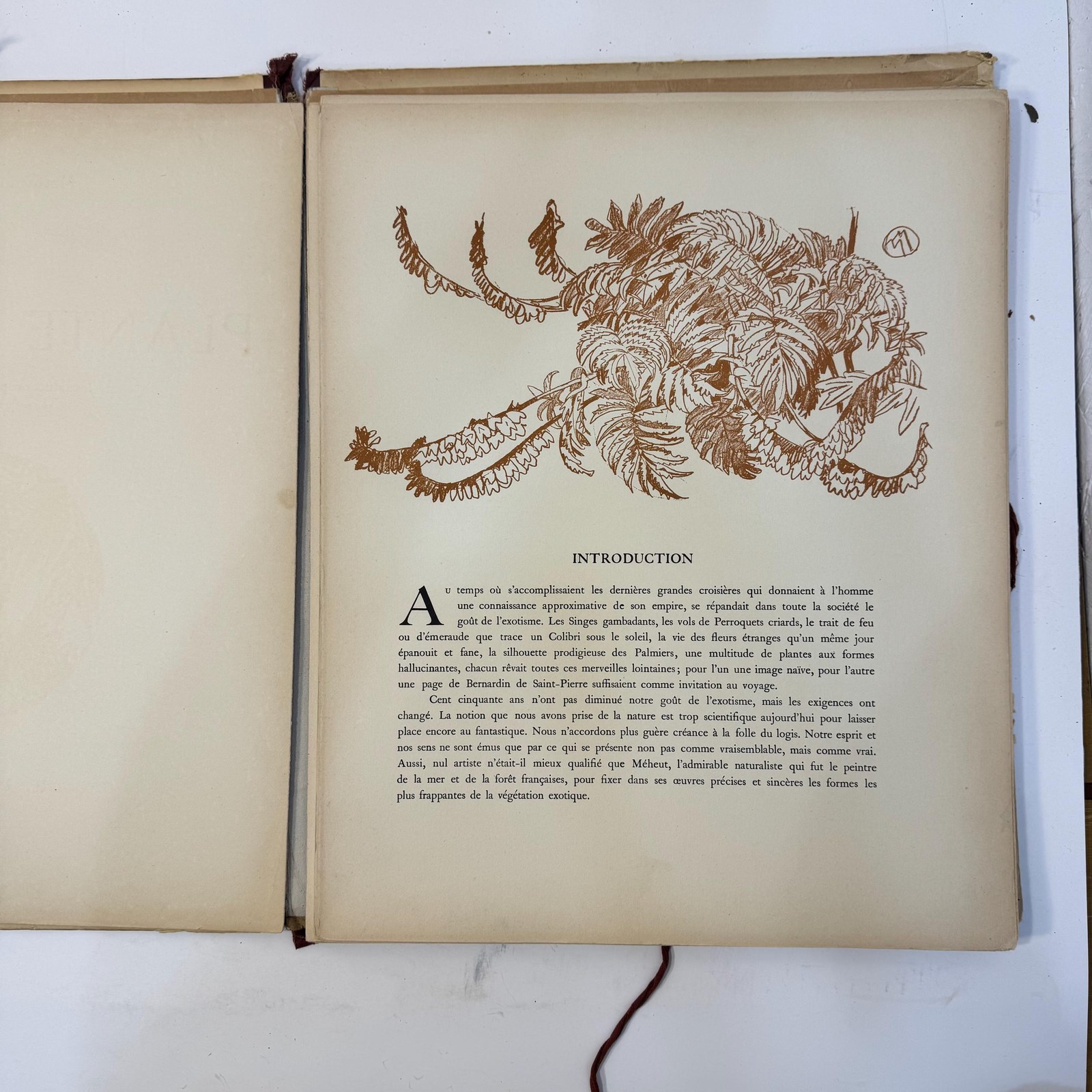 La Plante Exotique, Introduction par M.L. Plantefol — photograph 7.