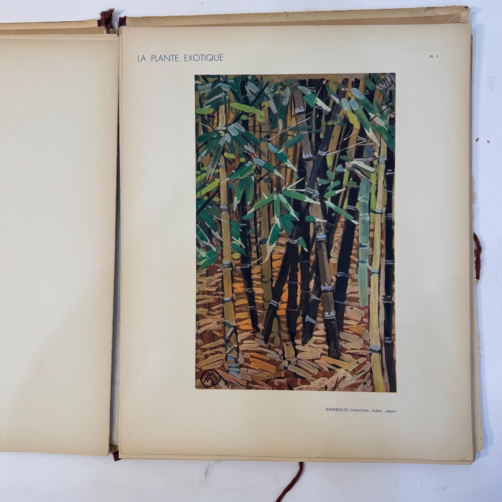 La Plante Exotique, Introduction par M.L. Plantefol — photograph 8.