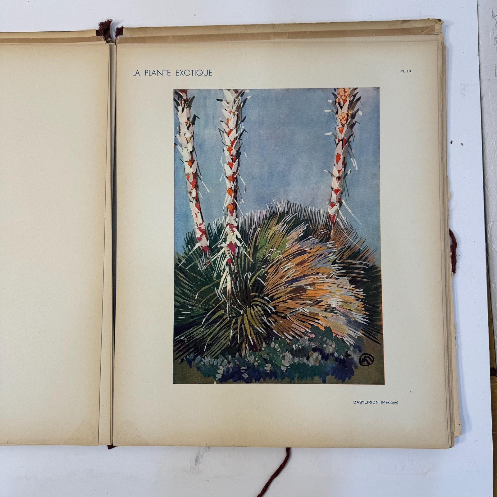 La Plante Exotique, Introduction par M.L. Plantefol — photograph 9.