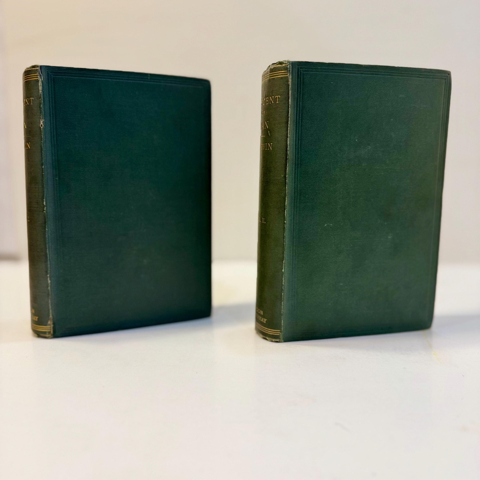 The Descent of Man, and Selection in Relation to Sex. Second Edition, Revisd and Augmented. (22nd Thousand) In Two Volumes, with Illustrations. — photograph 3.