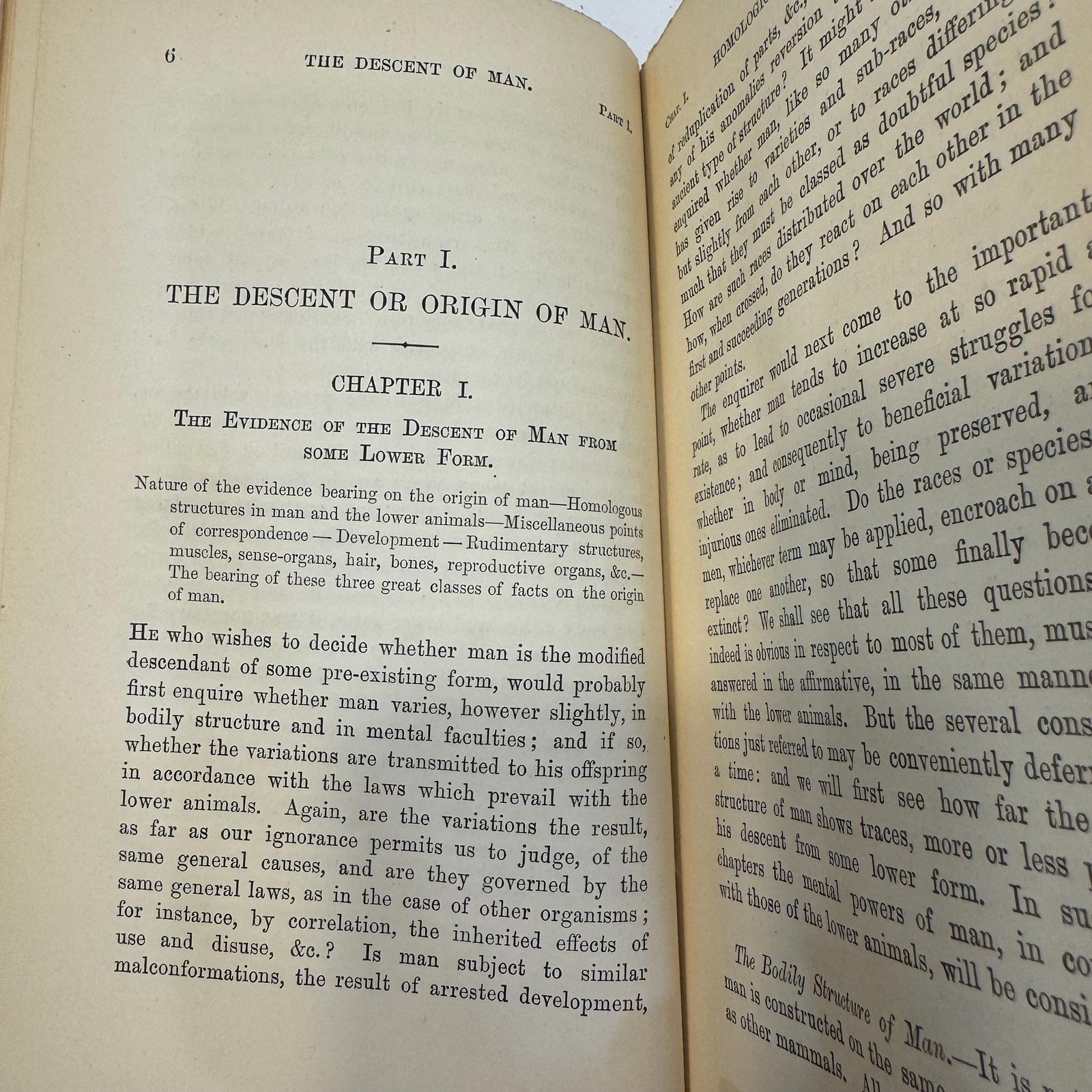 The Descent of Man, and Selection in Relation to Sex. Second Edition, Revisd and Augmented. (22nd Thousand) In Two Volumes, with Illustrations. — photograph 9.