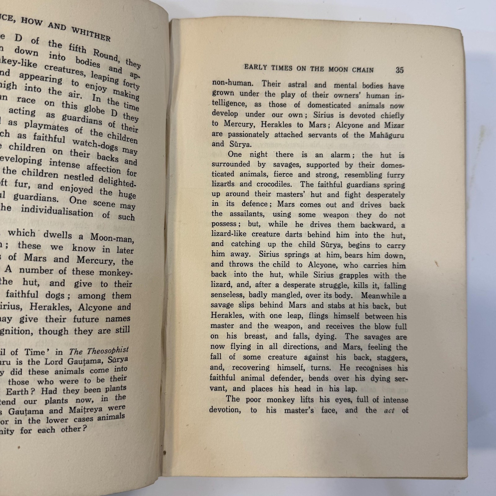Man: Whence, How and Whither, A Record of Clairvoyant Investigation, First Eedition — photograph 10.