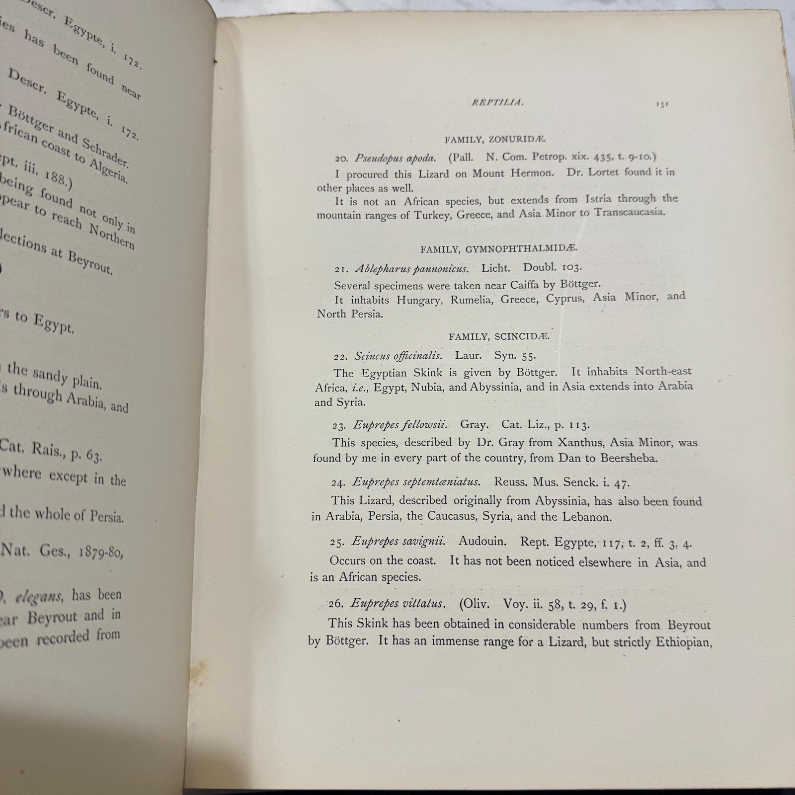 The Survey of Western Palestine. The Fauna and Flora of Palenstine — photograph 10.