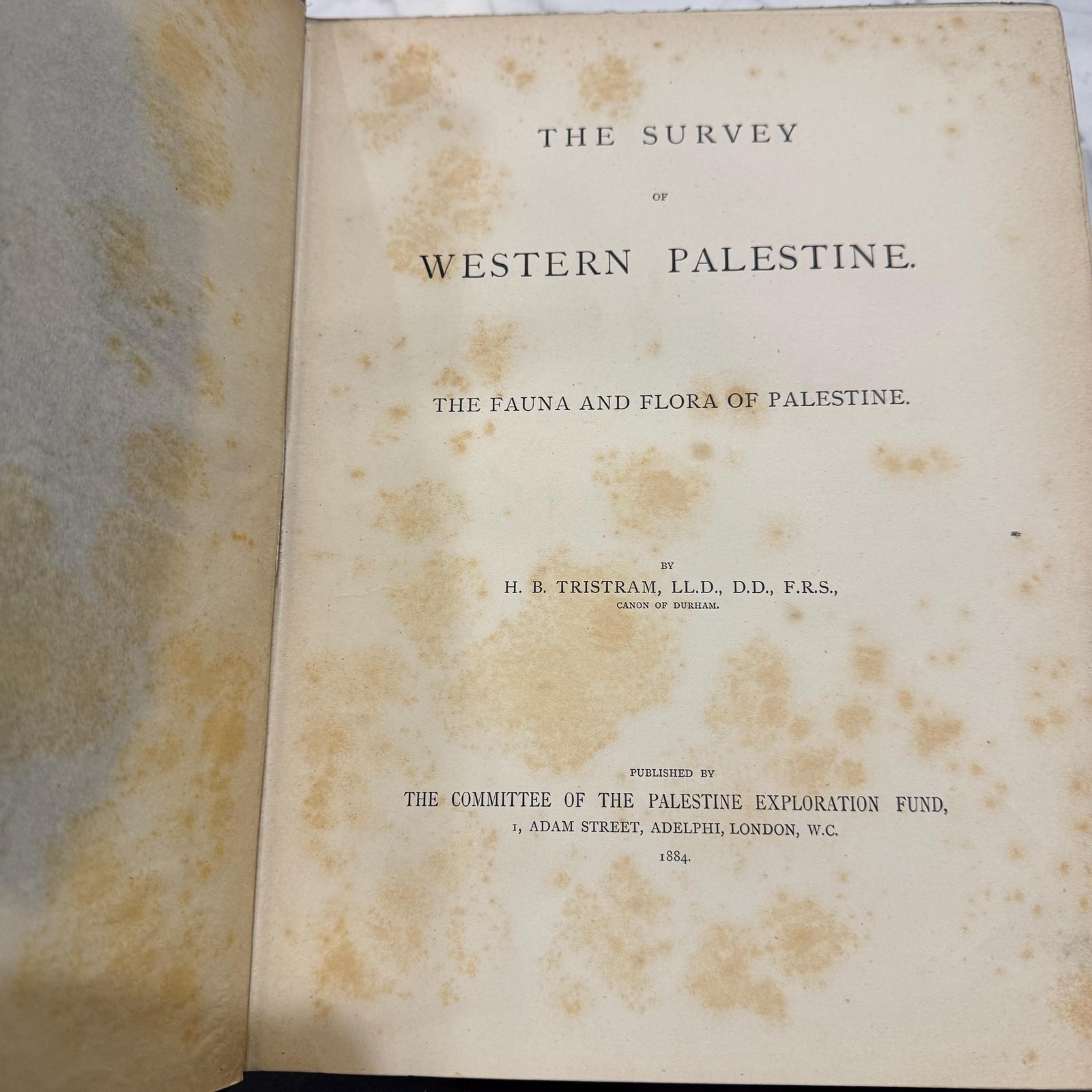 The Survey of Western Palestine. The Fauna and Flora of Palenstine — photograph 4.