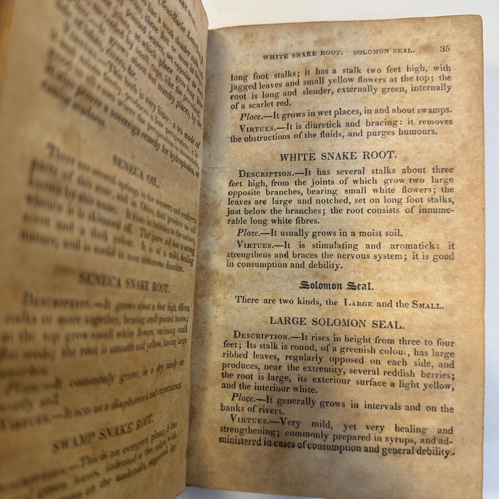 The American Physician; Being A New System of Practice, Founded on Botany. Containing: I. A Description of Medicinal Plants, Their Properties, Localities, &c. and The method of Preparing and Using Them. II. A Treatise on the Causes, Symptoms, Prevention, and Cure of Diseases, Incident to The Human Frame; With a Safe and Sovereign Mode of Treatment. For The Use of Families and Practitioners. — photograph 4.
