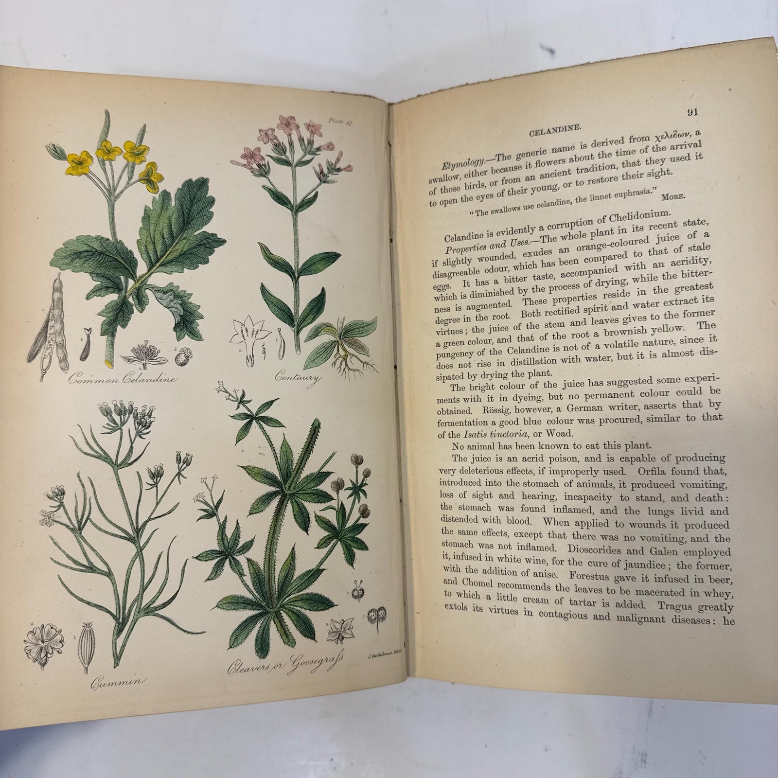 The British Flora Medica: A History of the Medicinal Plants of Great Britain. A New Edition, Revisd, Condensed, and Partly Re-Written… Illsutrated by a Colored Figure of Each Plat. — photograph 8.
