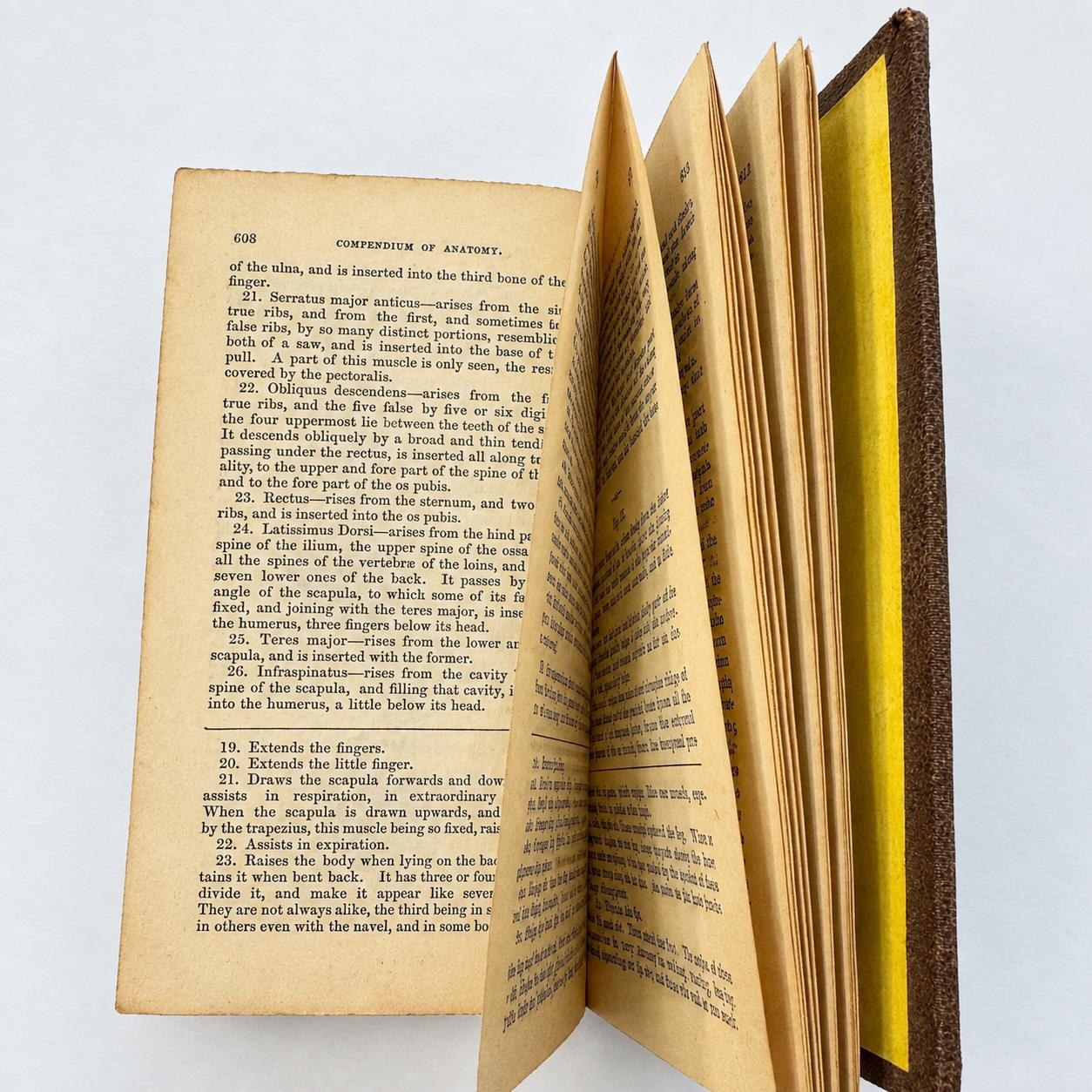 Complete Domestic Medicine; Or, A Treatise on the Prevention and Cure of Diseases, by Regimen and Simple Medicine. With Additions and Improvements Containing Treatises on Those Diseases Omitted by the Author, and on the New Discoveries in Medicine and Surgery; Also, Dr. Cullen's Characteristic Symptons of Diseases. To Which is Added The Compendium of Anatomy with Twelve Illustrations. — photograph 8.