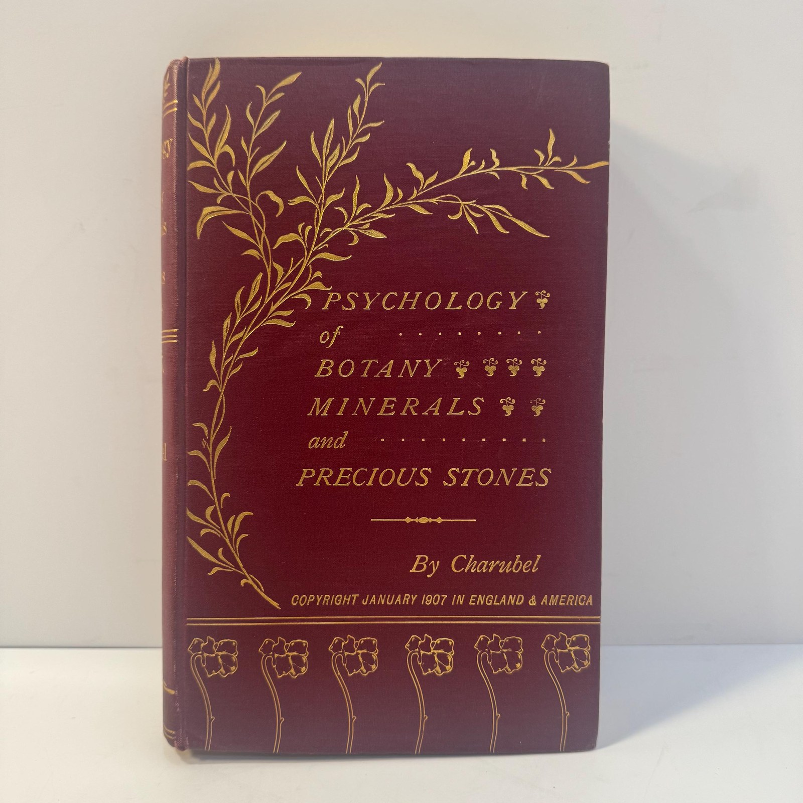 Psychology of Botany: A Treatise on Trees, Shrubs, and Plants, Etc., for the Cure of Diseases and Ailments of the Human System (Without Medicine), by Sympathy (Positive and Negative) on the Soul Plane — photograph 2.