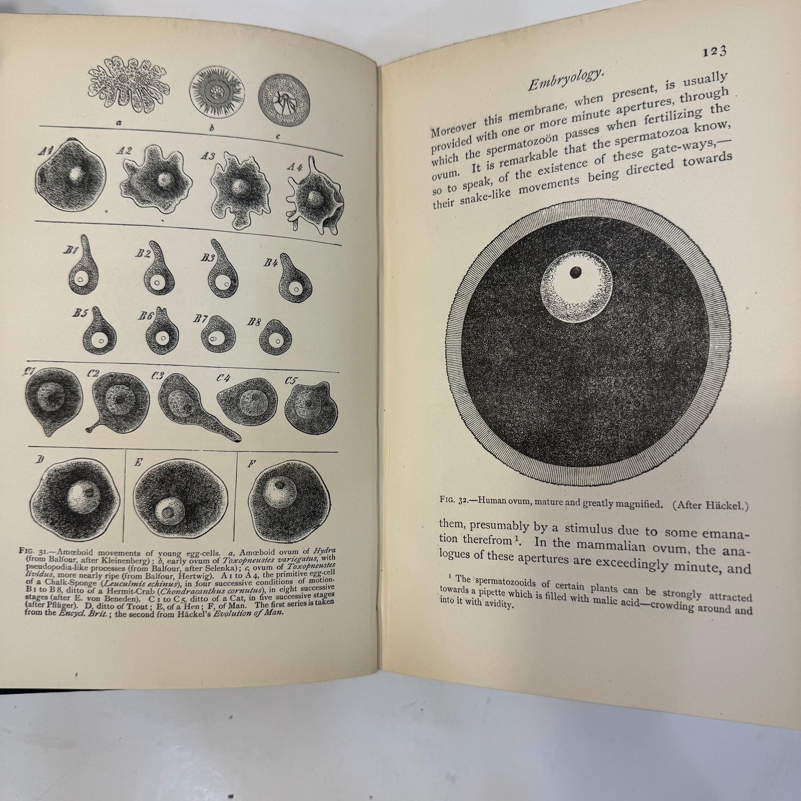 Darwin and After Darwin, An Exposition of The Darwinian Theory and a Discussion of Post-Darwinian Questions, Second Edition. — photograph 9.