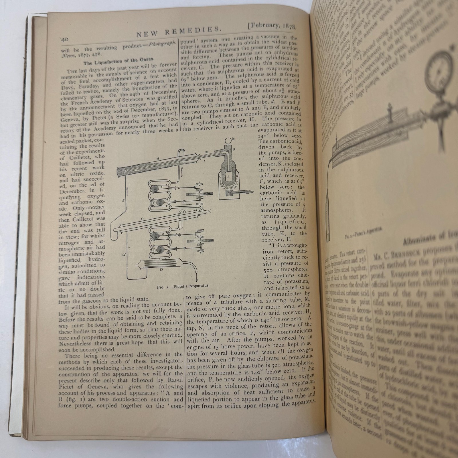 New Remedies, and Illustrated Monthly Trade Journal of Materia Medica, Pharmacy and Therapeutics, Vol. VII — photograph 10.