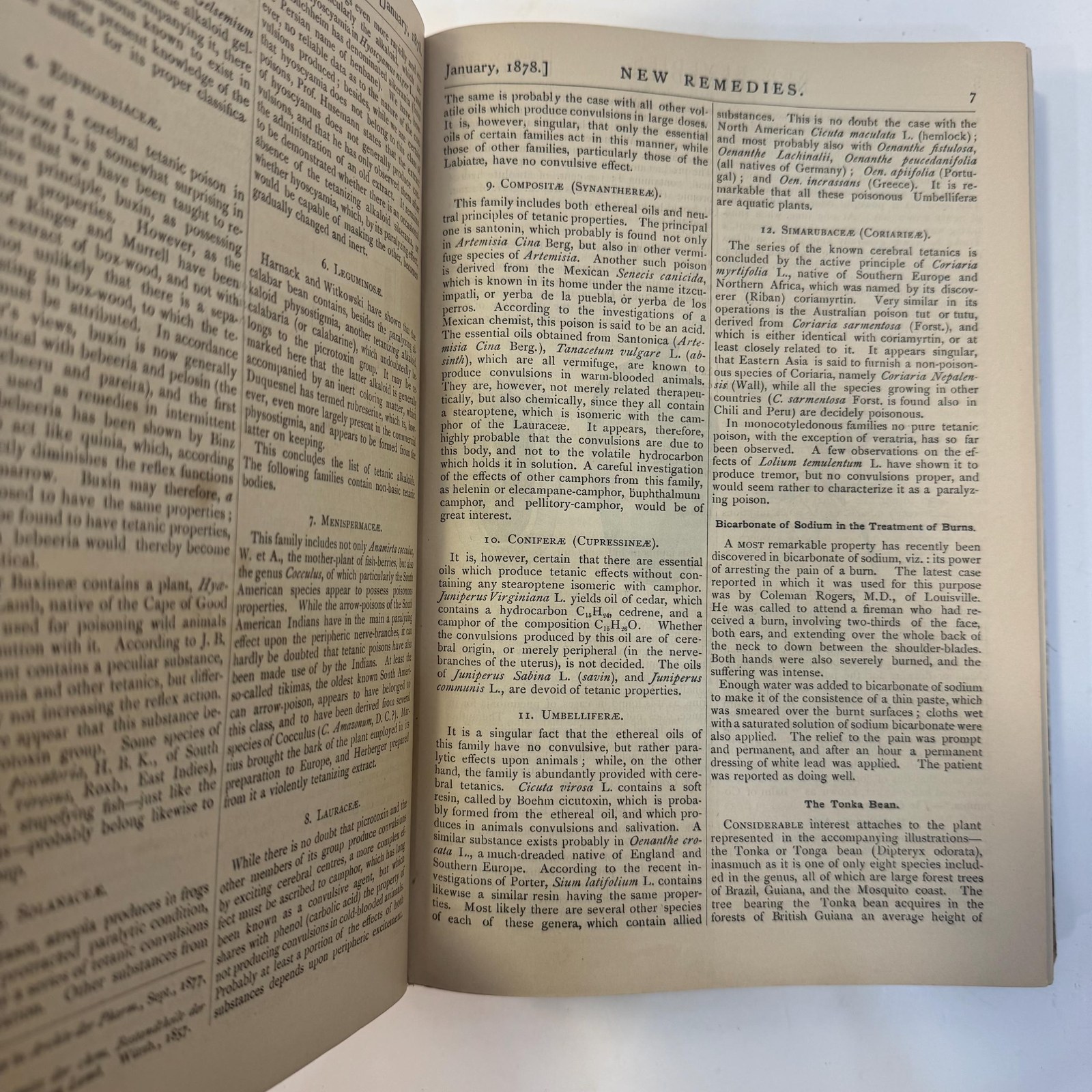 New Remedies, and Illustrated Monthly Trade Journal of Materia Medica, Pharmacy and Therapeutics, Vol. VII — photograph 7.