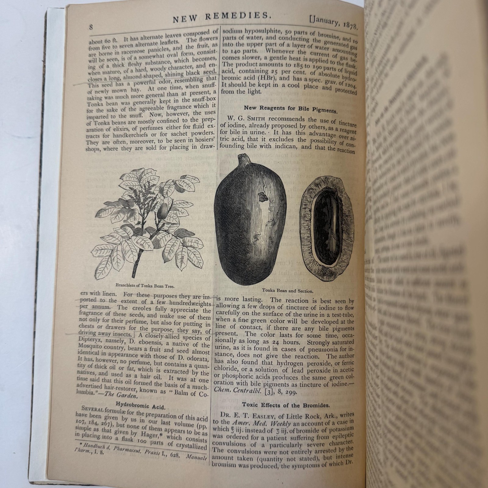 New Remedies, and Illustrated Monthly Trade Journal of Materia Medica, Pharmacy and Therapeutics, Vol. VII — photograph 8.