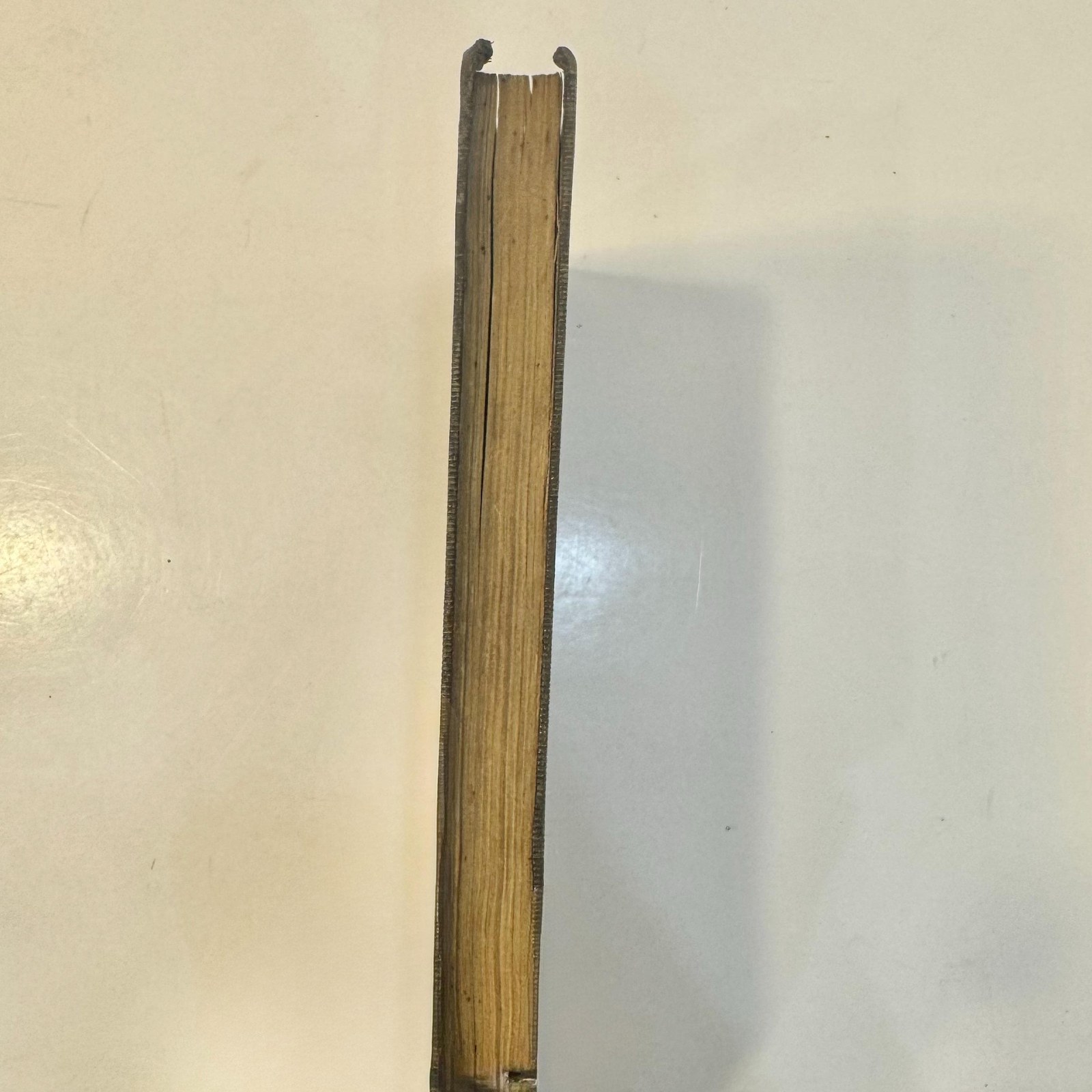 The Oracle of Health and Long Life: Containing Plain and Practical Instructions for The Preservation of Sound Health, and The Attainment of Vigorous Old Age. To Which are Added, Maxims for The Preservation of Health, and The Prevention of Disease; With The Philosophy of Domestic Medicine, A New Edition — photograph 4.