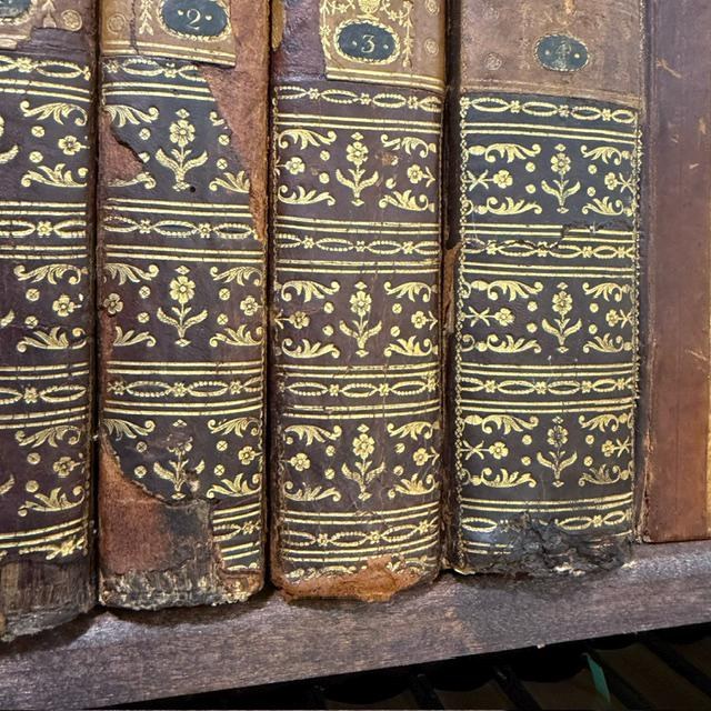 P. R. D. Augustini Calmet, Ordinis S. Benedicti, Congregationis SS. Vitoni et Hidulphi, Commentarius Literalis in Omnes Libros Veteris Testamenti, Latinis Literis Traditus a Joanne Dominico Mansi, Congregationis Clericorum Regularium Matris Dei, Lucensi. Editio Novissima ad Exemplar Parisiense Correcta. Translated: The Literal Commentary of the Reverend Father Dom Augustin Calmet, of the Order of Saint Benedict and the Congregation of Saints Vitonus and Hidulphus, on All the Books of the Old Testament, Rendered into Latin by Giovanni Domenico Mansi, of Lucca, of the Congregation of the Clerics Regular of the Mother of God. The Latest Edition, Corrected According to the Paris Edition. ***AND*** R. P. D. Augustini Calmet, Ordinis S. Benedicti, Congregationis SS. Vitoni et Hidulphi, Commentarius Literalis in Omnes Libros Novi Testamenti, Latinis Literis Traditus a Joanne Dominico Mansi, Congregationis Clericorum Regularium Matris Dei, Lucensi. Editio Novissima ad Exemplar Parisiense Correcta. Translated: The Literal Commentary of the Reverend Father Dom Augustin Calmet, of the Order of Saint Benedict and the Congregation of Saints Vitonus and Hidulphus, on All the Books of the New Testament, Rendered into Latin by Giovanni Domenico Mansi, of Lucca, of the Congregation of the Clerics Regular of the Mother of God. The Latest Edition, Corrected According to the Paris Edition. — photograph 10.