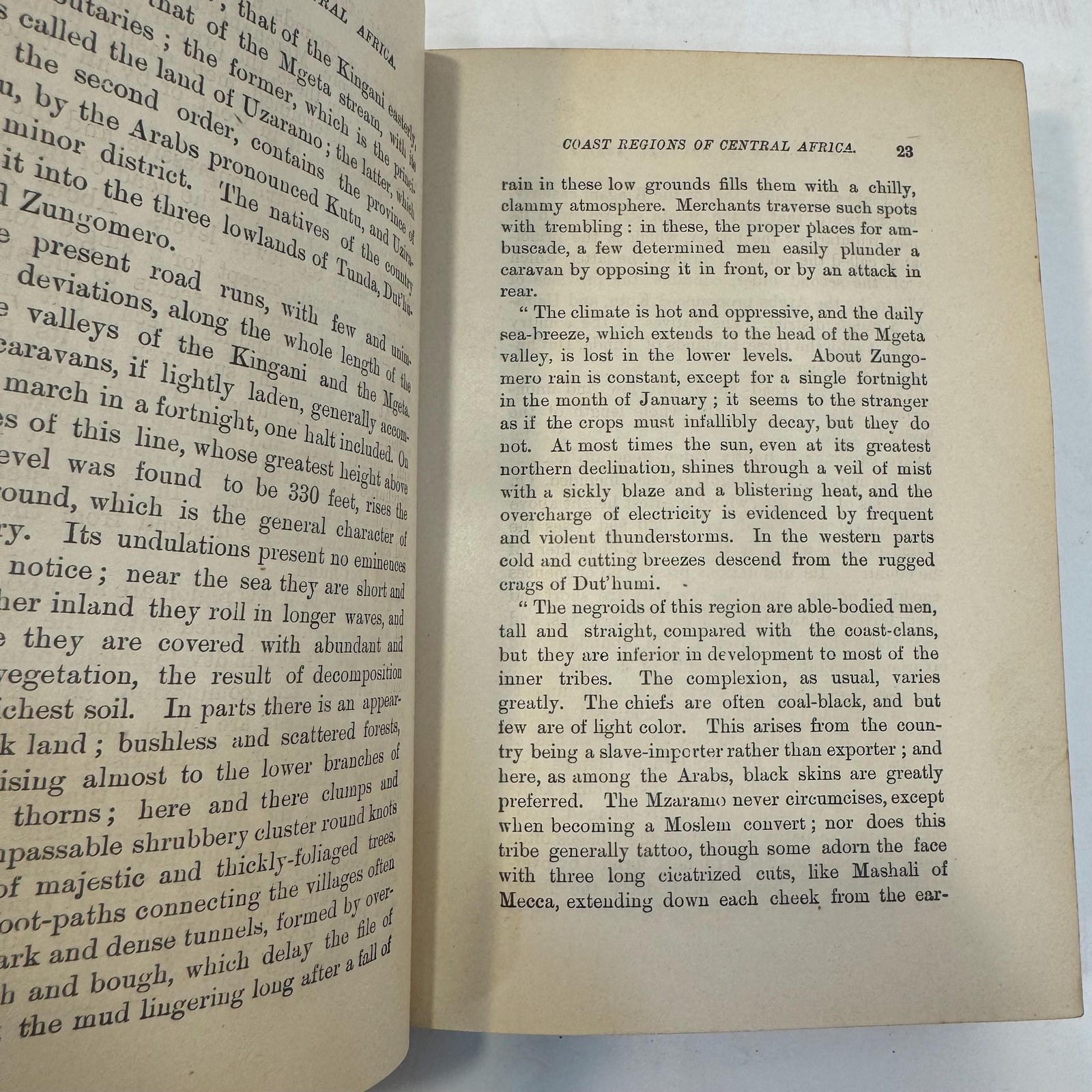 Illustrated Library of Travel, The Lake Regions of Central Africa, with Map and Numerous Illustrations by Bayard Taylor, 1881 — photograph 8.