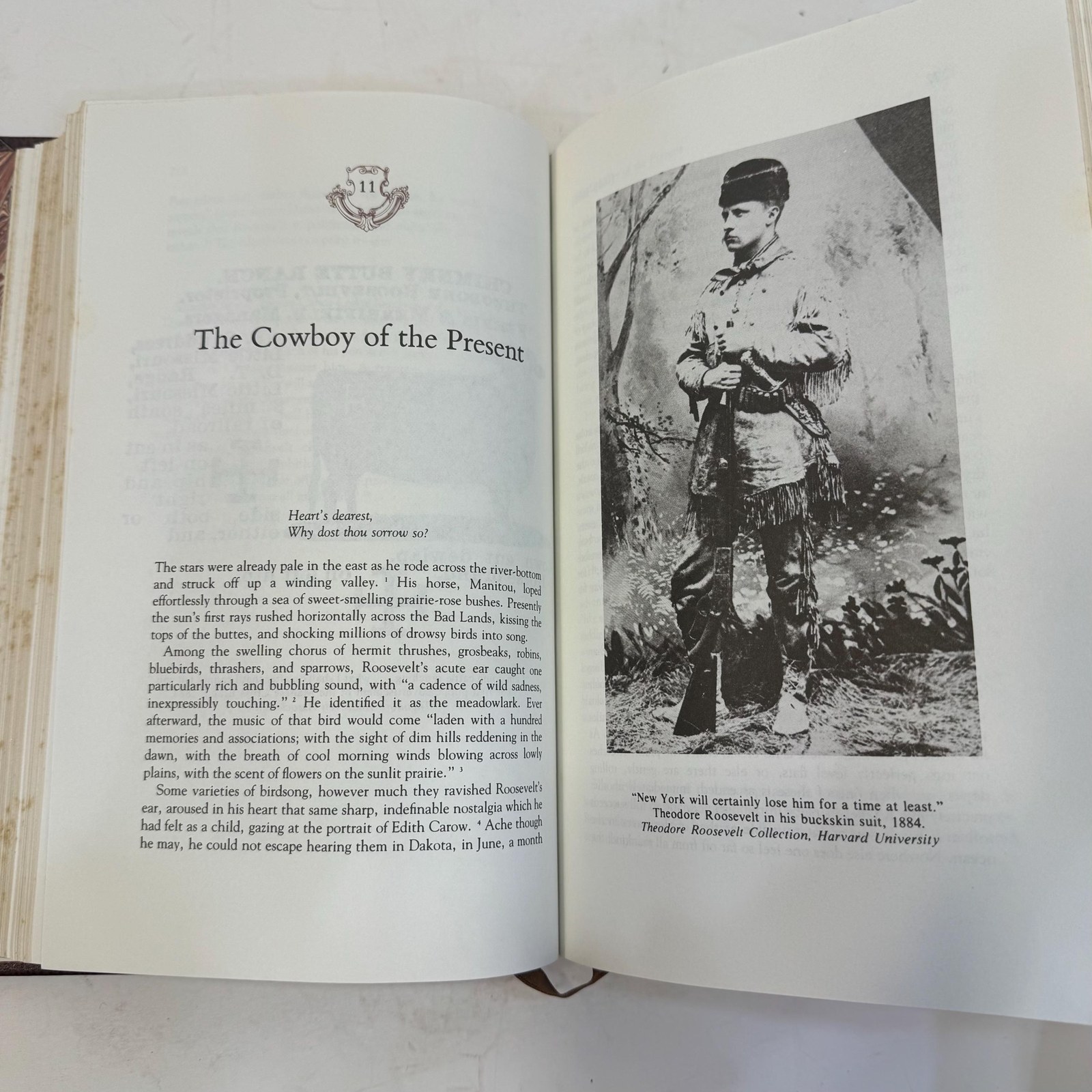 The Rise of Theodore Roosevelt by Edmund Morris, 1985 — photograph 8.
