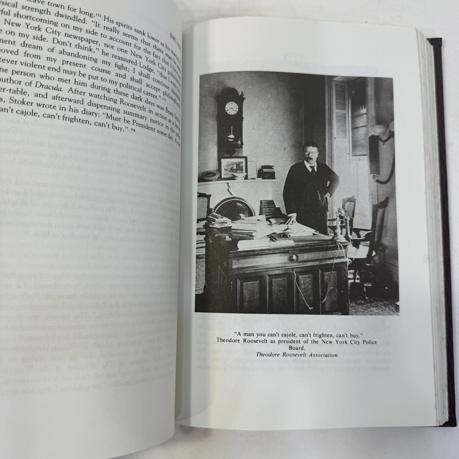The Rise of Theodore Roosevelt by Edmund Morris, 1985 — photograph 9.