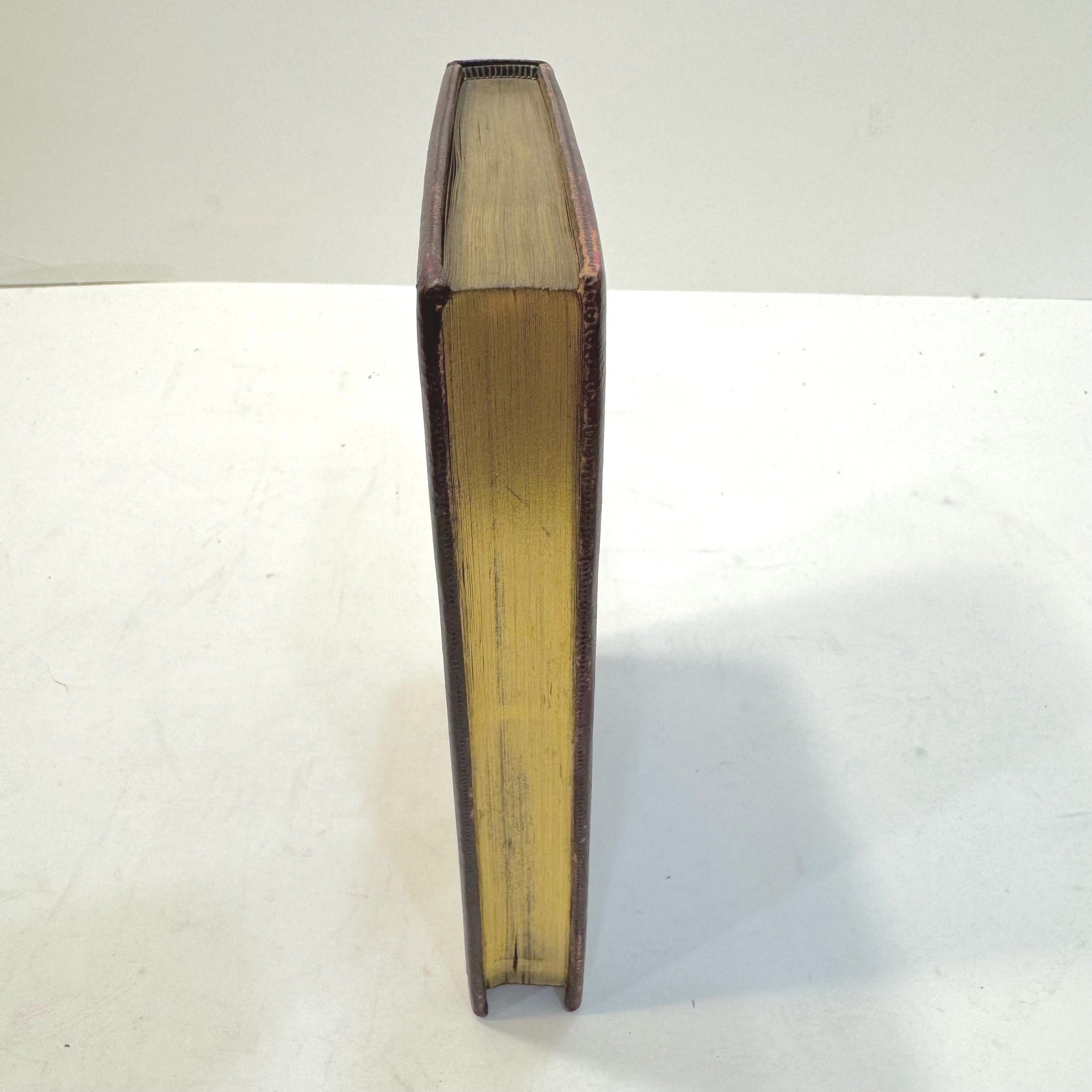 Idylls of The King by Alfred Tennyson, 1859 | Fore-Edge Painting, Bound by Nutt — photograph 4.