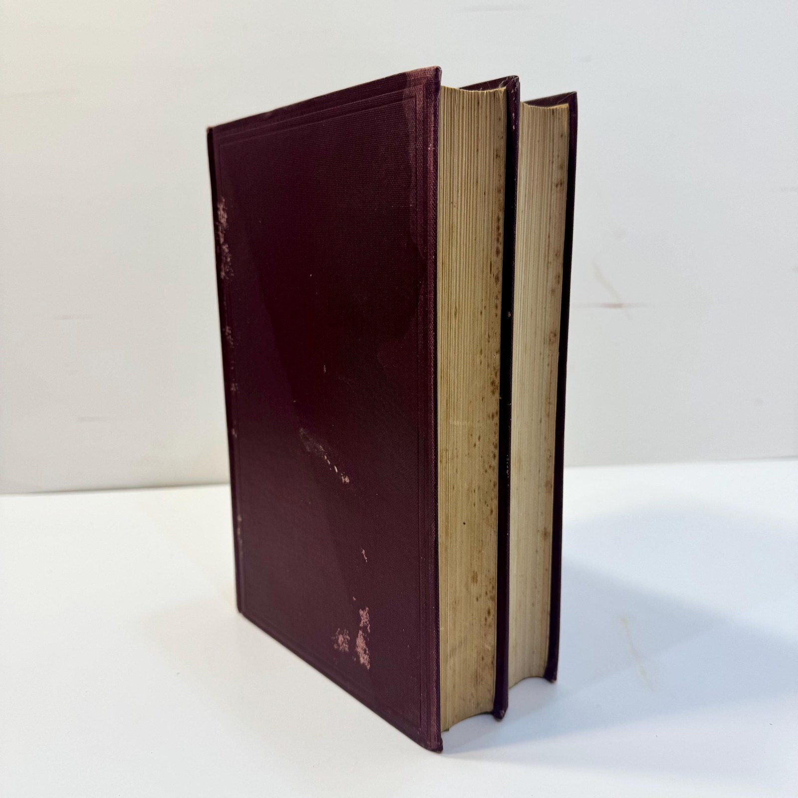The Journal of Thomas Williams, Missionary in Fiji, 1840-1853 by G.C. Henderson, 1931 — photograph 5.