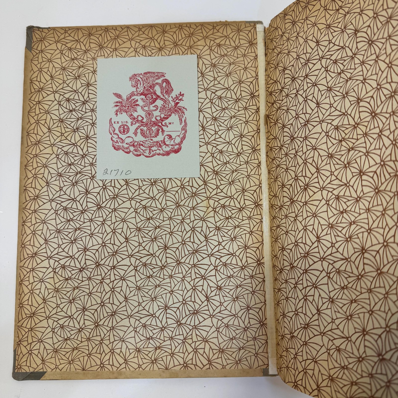Ernesto Invernizzi, General Catalogue (Italian) | Eighth Edition, 1879-1940 — photograph 5.