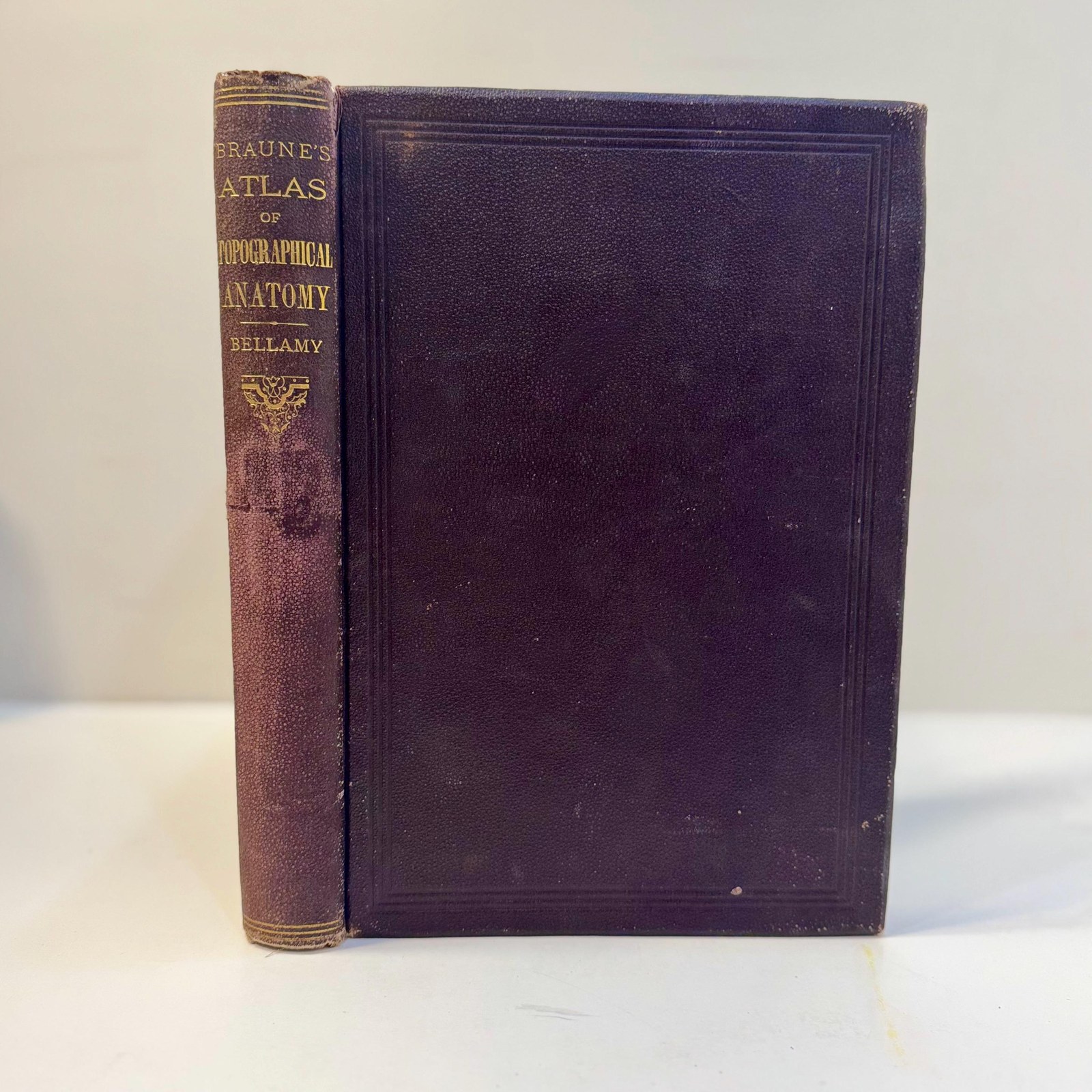 An Atlas of Topographical Anatomy After Plane Sections of Frozen Bodies by Wilhelm Braune and Edward Bellamy (Trans.), 1877 — photograph 2.