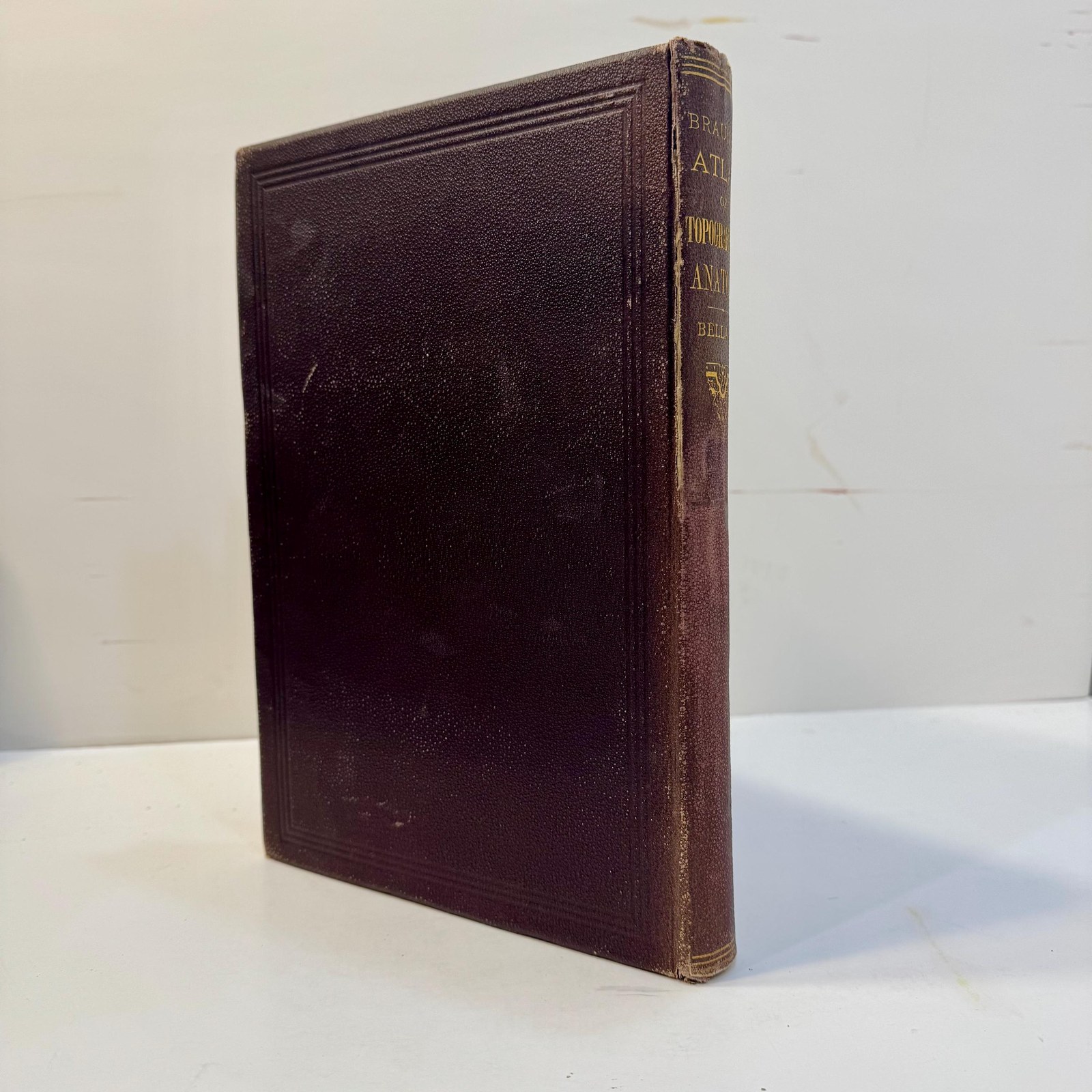An Atlas of Topographical Anatomy After Plane Sections of Frozen Bodies by Wilhelm Braune and Edward Bellamy (Trans.), 1877 — photograph 3.