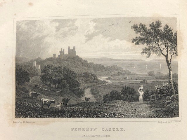 South Wales Illustrated, in a Series of Views, Comprising the Picturesque Scenery, Towns, Castles, Seats of the Nobility & Gentry, Antiquities, &c.; Engraved in steel From original drawings by Henry Gastineau. Accompanied by Historical and Topographical Descriptions. — photograph 6.