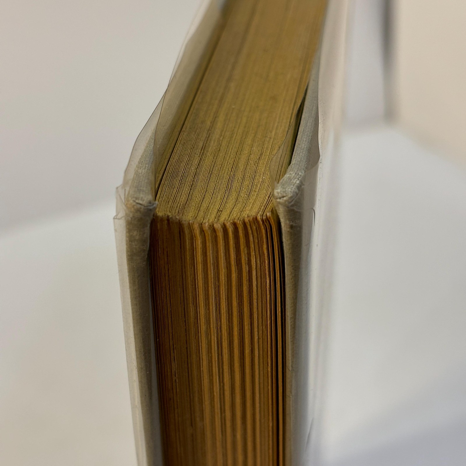 The Old Peabody Pew. A Christmas Romance of a Country Church by Kate Douglas Wiggin with Illustrations by Alice Barber Stephens — photograph 10.