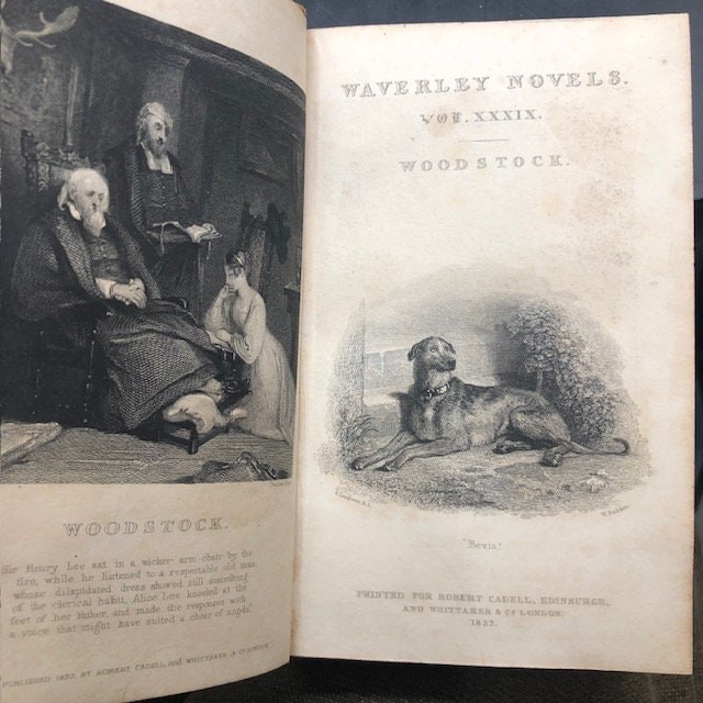 Waverly Novels : Woodstock : volumes XXXIX. & XL. — photograph 2.