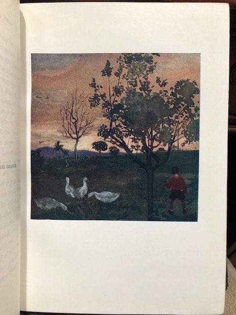 South America Painted by A. S. Forrest and Described by W. H. Koebel — photograph 10.