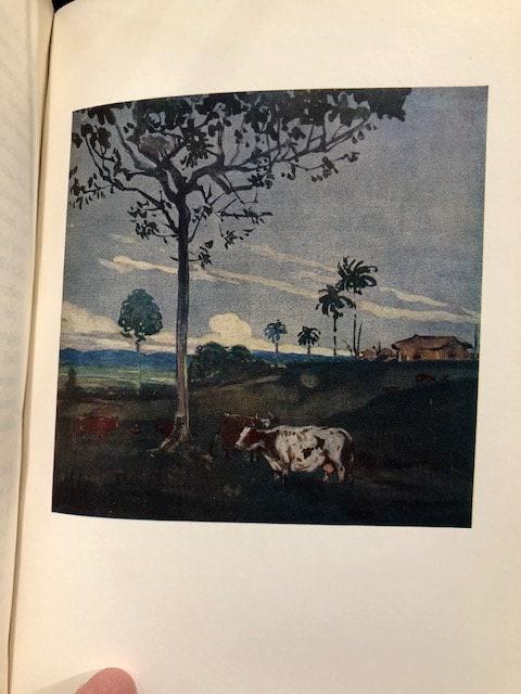 South America Painted by A. S. Forrest and Described by W. H. Koebel — photograph 6.
