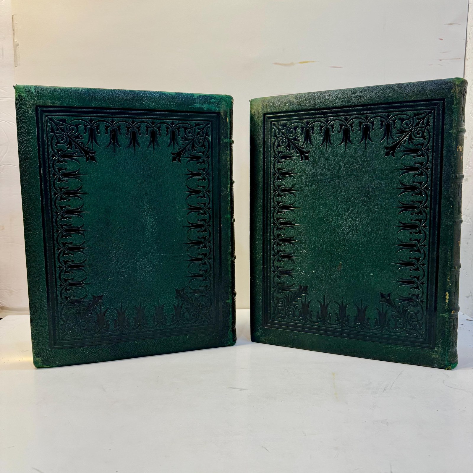Picturesque Europe; a delineation by pen and pencil of the natural features and the picturesque and historical places of Great Britain and the continent. Illustrated on steel and wood by European and American artists. — photograph 4.