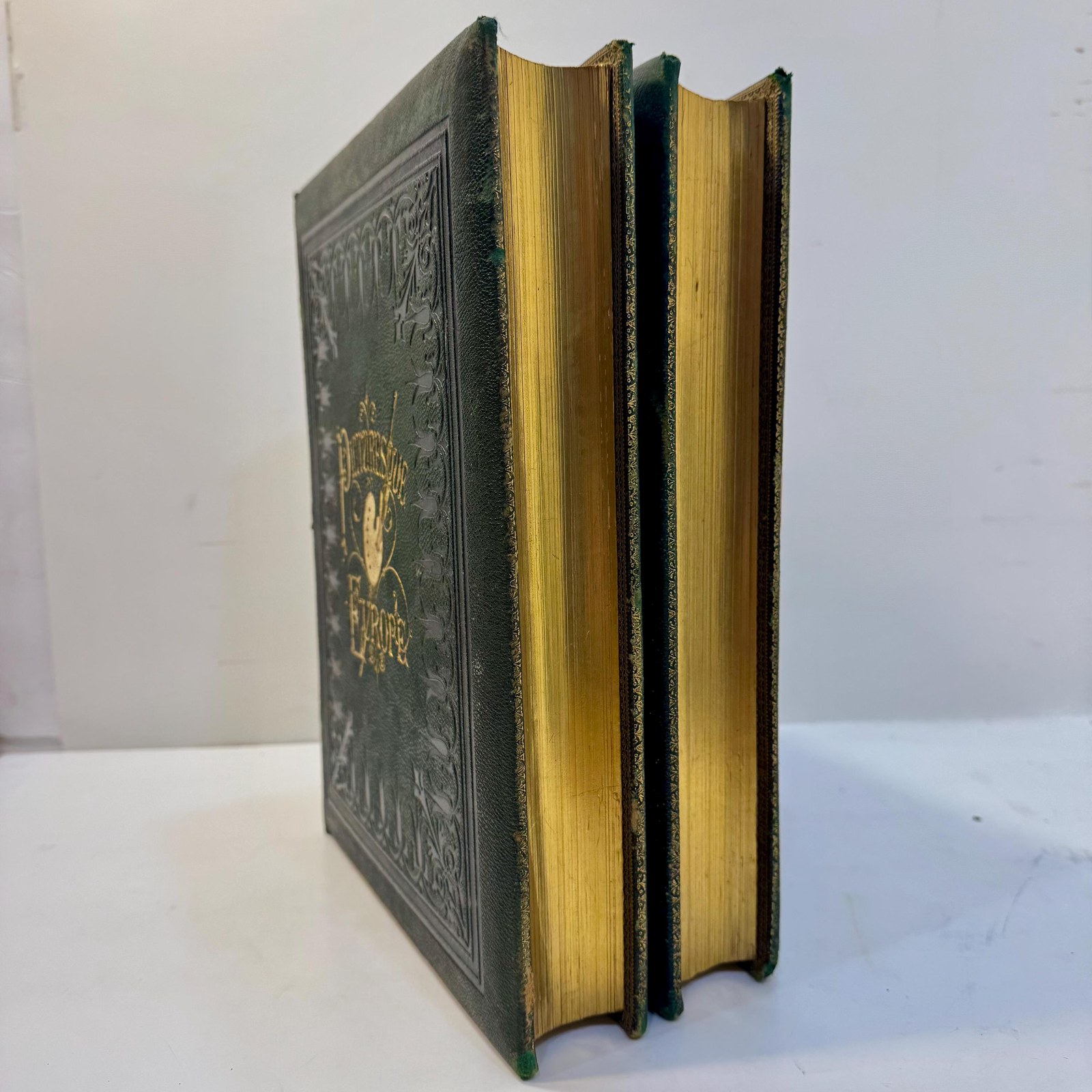 Picturesque Europe; a delineation by pen and pencil of the natural features and the picturesque and historical places of Great Britain and the continent. Illustrated on steel and wood by European and American artists. — photograph 6.