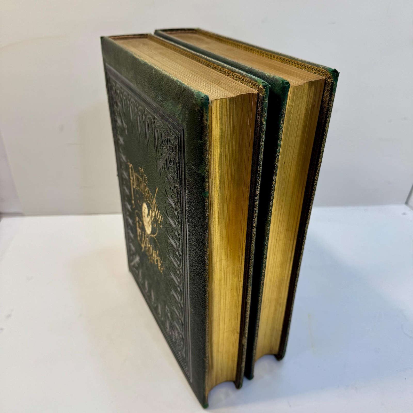 Picturesque Europe; a delineation by pen and pencil of the natural features and the picturesque and historical places of Great Britain and the continent. Illustrated on steel and wood by European and American artists. — photograph 7.