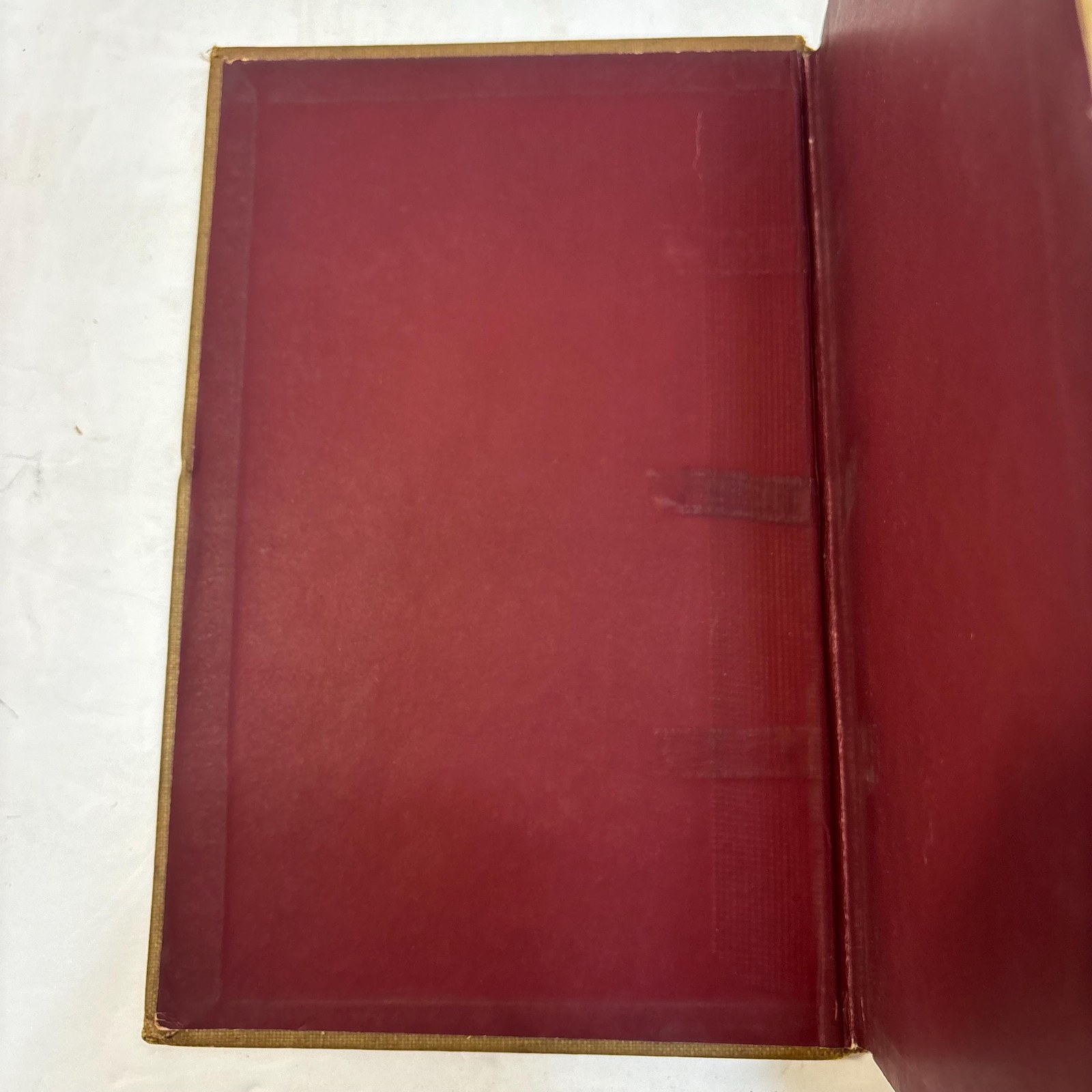A Handbook of British Birds. Showing The Distribution of the Resident and Migratory Species in the British Islands with an Index to the Records of the Rarer Visitants. — photograph 7.
