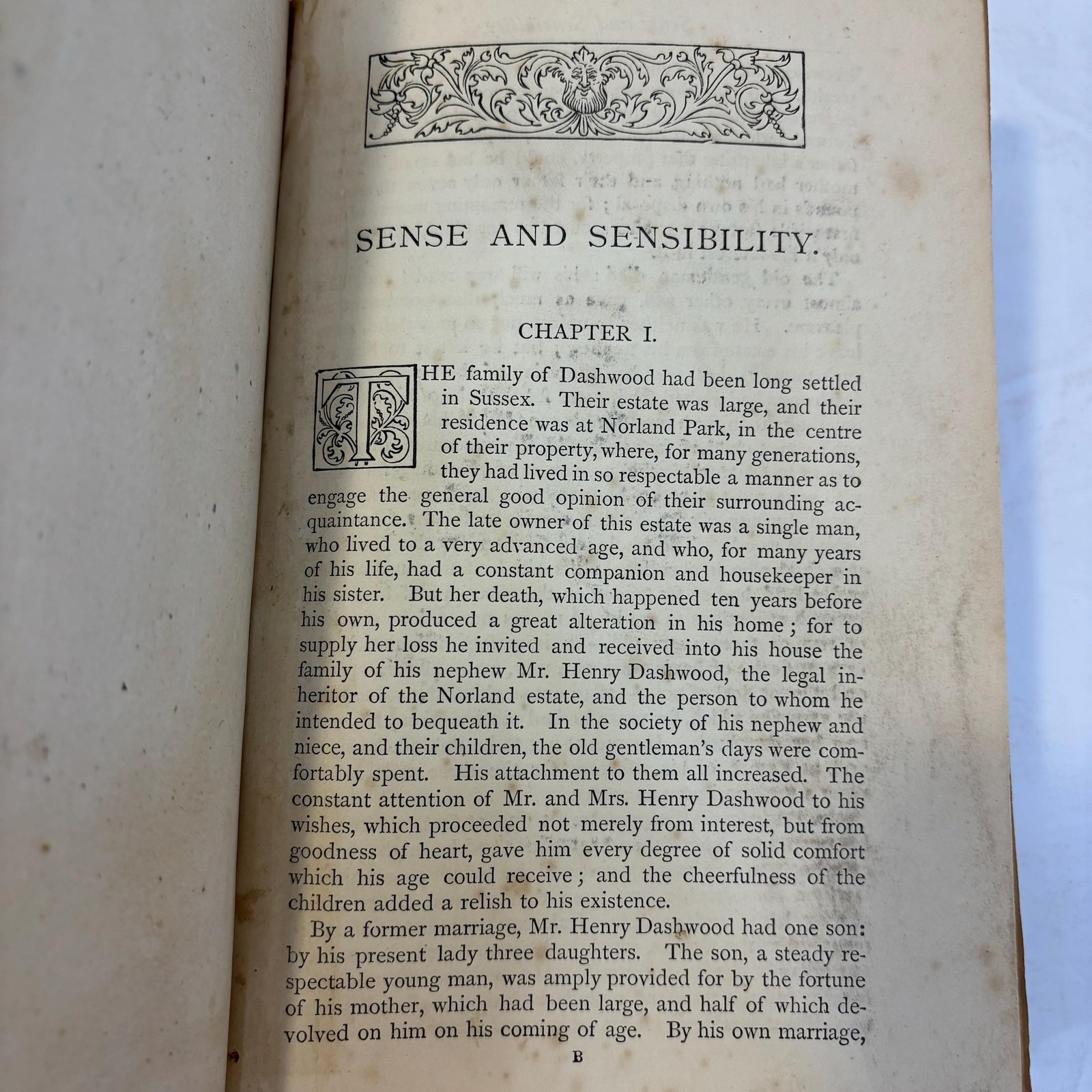 Sense and Sensibility — photograph 5.