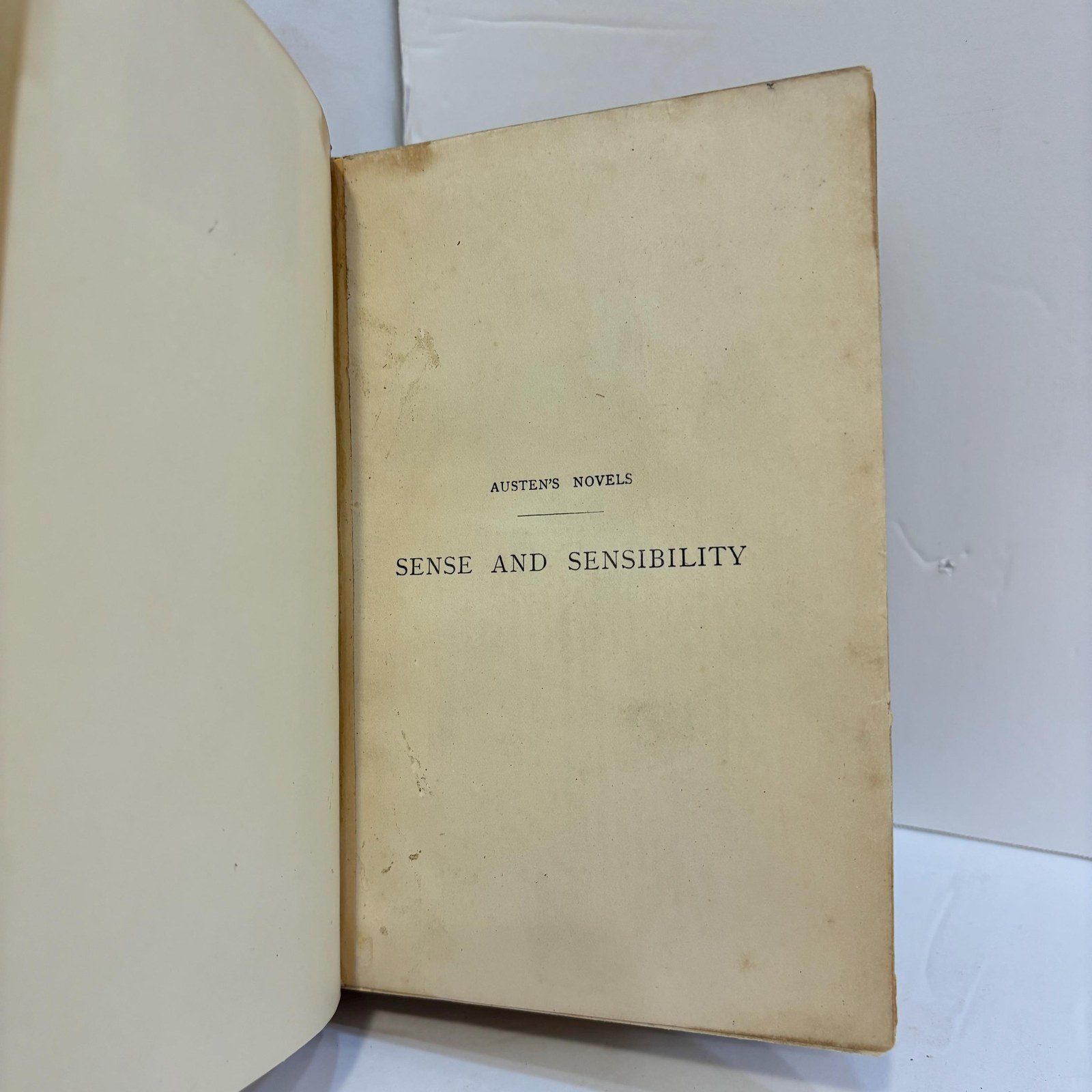 Sense and Sensibility — photograph 7.
