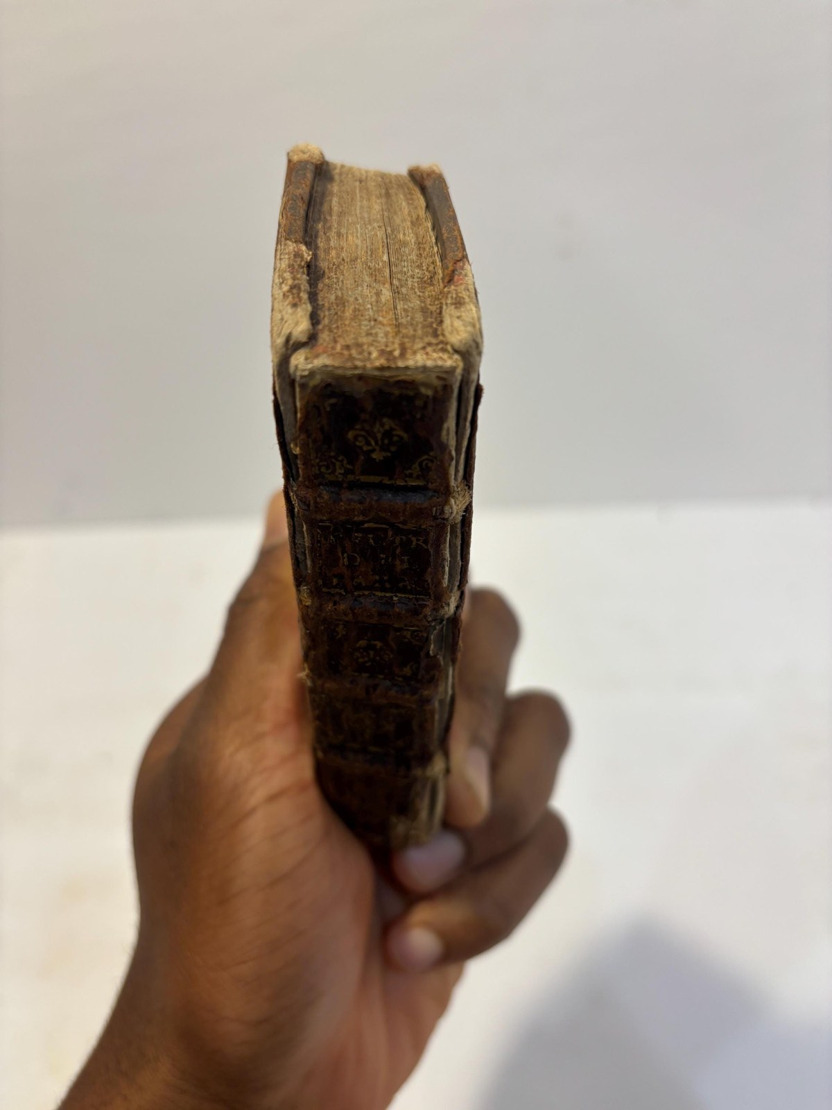 Pietra del Paragone Politico Con una nuova aggiunta dell'istesso. (translated: Political Touchstone With a new addition of the same.) — photograph 10.