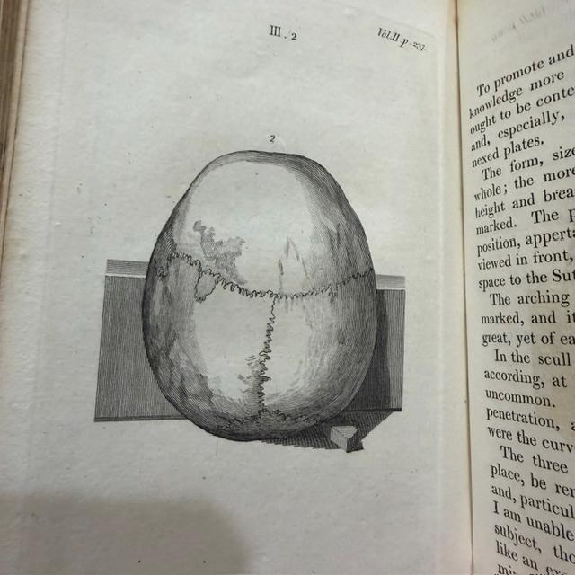 Essays on Physiognomy; For the Promotion and the Knowledge and the Love of Mankind — photograph 10.