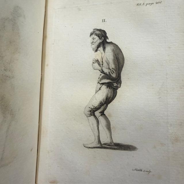 Essays on Physiognomy; For the Promotion and the Knowledge and the Love of Mankind — photograph 7.