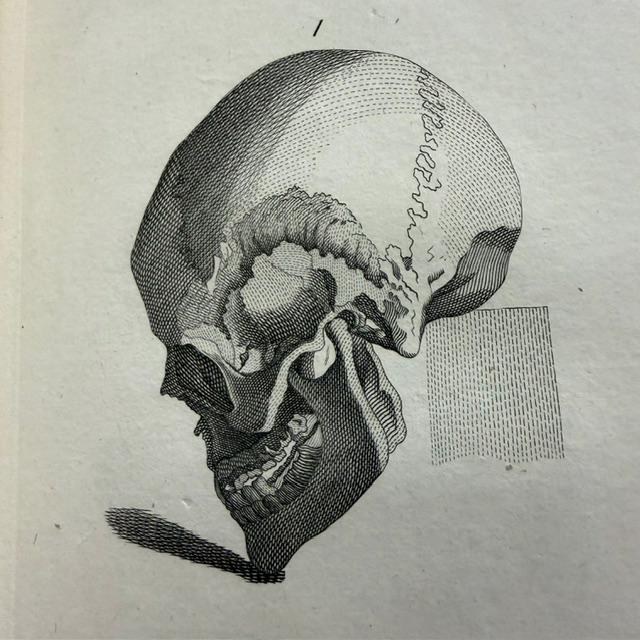 Essays on Physiognomy; For the Promotion and the Knowledge and the Love of Mankind — photograph 9.