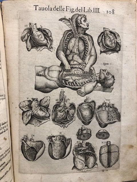 Anatomia del Corpo humano Composta per M. Giouan Valverde di Hamusco, & da luy con molte figure di rame, et cruditi discorsi in-luce mandata. (trans. from Italian: Anatomy of the Human Body Composed for M. Giouan Valverde of Hamusco, & from suy with many copper figures, et cruditi speeches in-light sent.) — photograph 6.