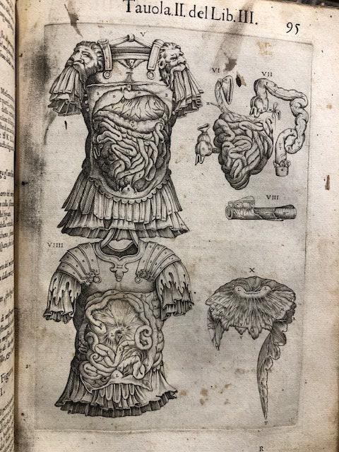 Anatomia del Corpo humano Composta per M. Giouan Valverde di Hamusco, & da luy con molte figure di rame, et cruditi discorsi in-luce mandata. (trans. from Italian: Anatomy of the Human Body Composed for M. Giouan Valverde of Hamusco, & from suy with many copper figures, et cruditi speeches in-light sent.) — photograph 7.