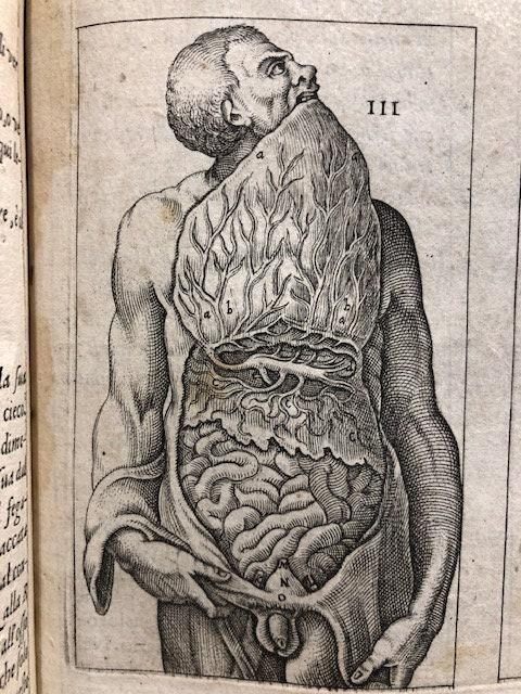 Anatomia del Corpo humano Composta per M. Giouan Valverde di Hamusco, & da luy con molte figure di rame, et cruditi discorsi in-luce mandata. (trans. from Italian: Anatomy of the Human Body Composed for M. Giouan Valverde of Hamusco, & from suy with many copper figures, et cruditi speeches in-light sent.) — photograph 8.