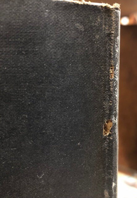 The Royal Road to Romance, Signed by author Richard Halliburton — photograph 9.