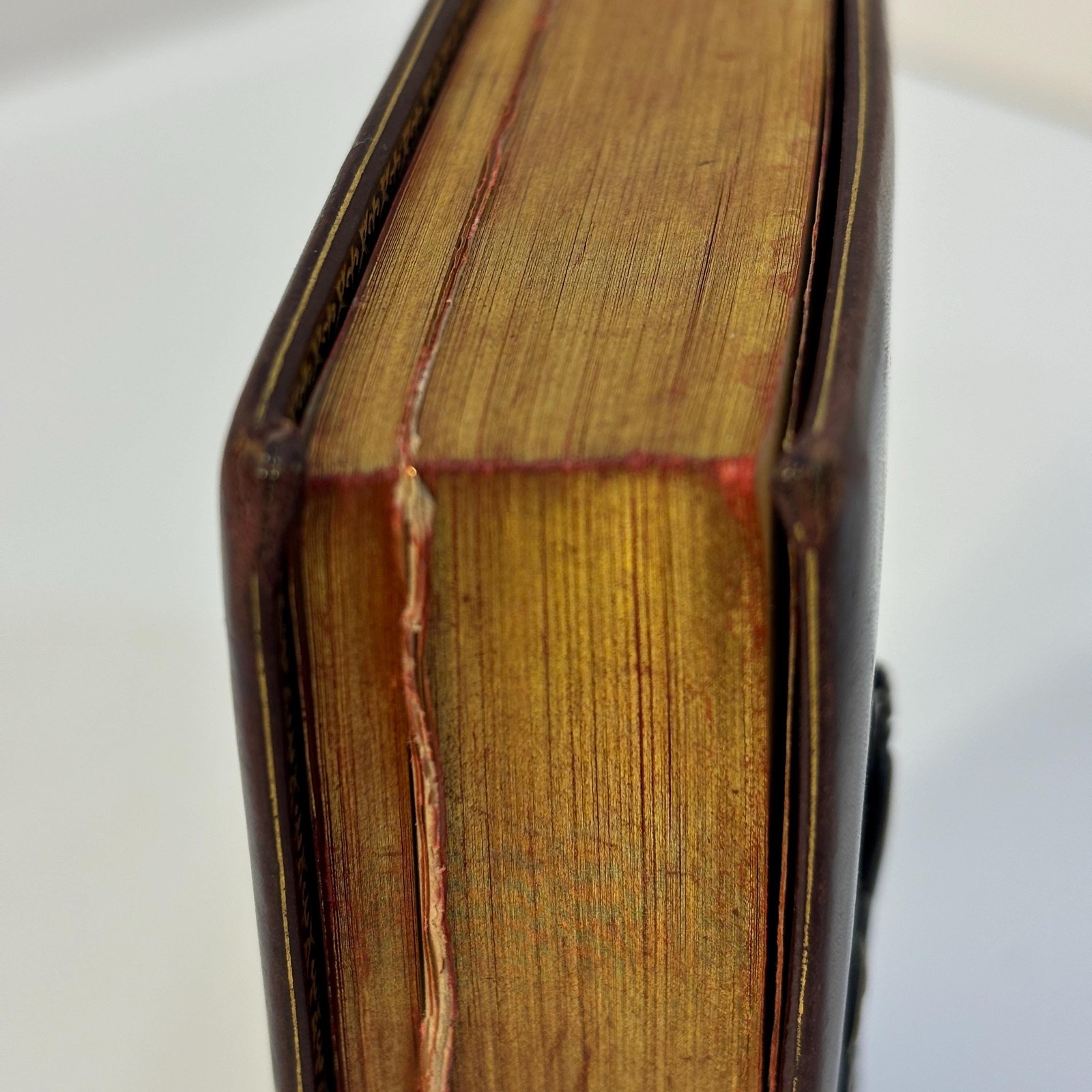 La Sposa Cristiana Ossia La Donna Second il Cuore di Dio Nella Famiglia e Nel Mondo. Opera Della Contessa Laura di Barezia Traduzione del fraese Preghiere, Istruzioni e Consigli per riceveredegnamente il Sacramento del Matrimonio e per compierne con esattezza i doveri. TRANSLATION: The Christian Bride That is The Woman According to the Heart of God in the Family and in the World. Works of Contessa Laura di Barezia, Translation of the French Prayers, Instructions and Advice to receive the Sacrament of Marriage worthily and to fulfill its duties exactly — photograph 10.