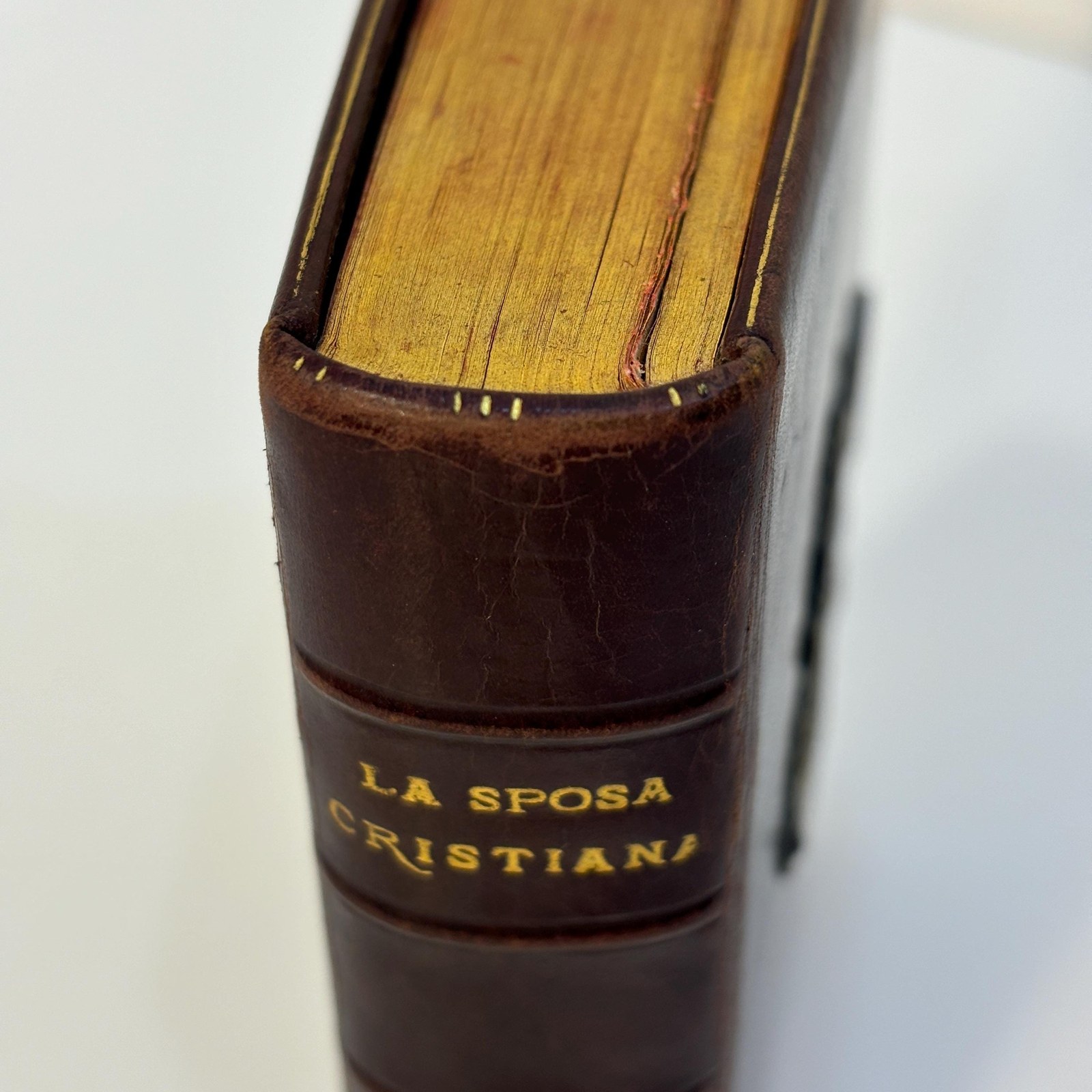 La Sposa Cristiana Ossia La Donna Second il Cuore di Dio Nella Famiglia e Nel Mondo. Opera Della Contessa Laura di Barezia Traduzione del fraese Preghiere, Istruzioni e Consigli per riceveredegnamente il Sacramento del Matrimonio e per compierne con esattezza i doveri. TRANSLATION: The Christian Bride That is The Woman According to the Heart of God in the Family and in the World. Works of Contessa Laura di Barezia, Translation of the French Prayers, Instructions and Advice to receive the Sacrament of Marriage worthily and to fulfill its duties exactly — photograph 5.