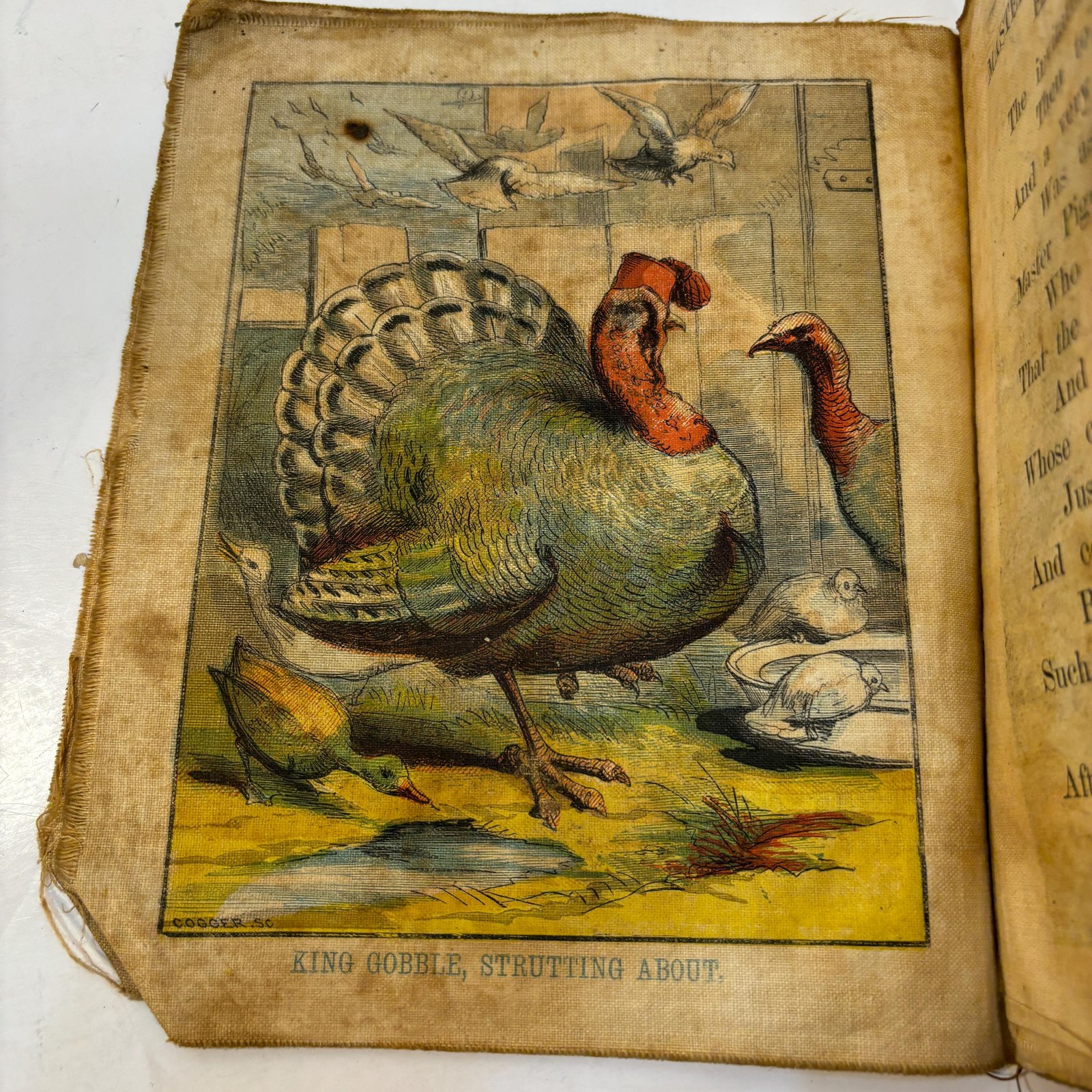 King Gobbler's Feast. Dame Dingle's Series — photograph 10.