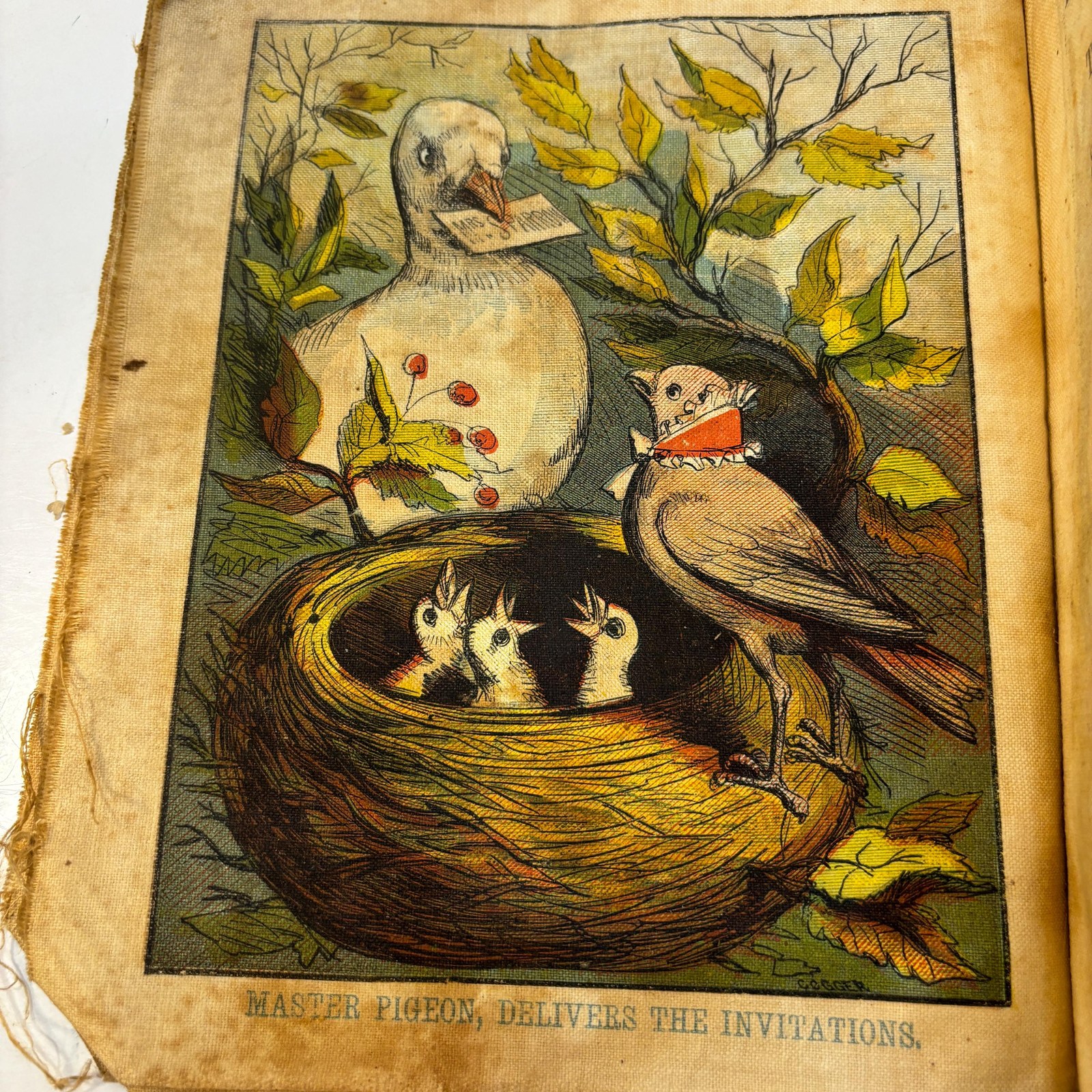 King Gobbler's Feast. Dame Dingle's Series — photograph 4.