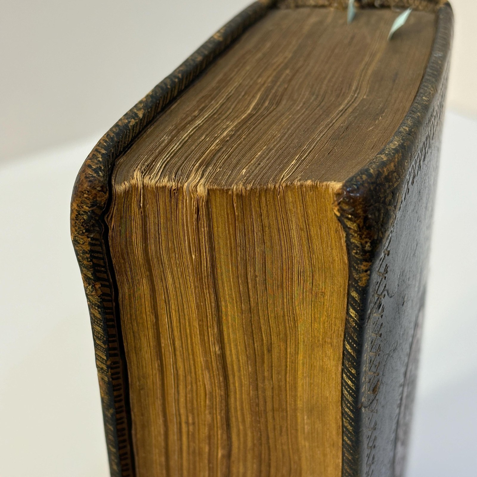 The Book of Common Prayer, And Administration of The Sacraments, and Other Rites and Ceremonies of The Church, According to the Use of The Church of England; Together with the Psalter or Psalms of David, Pointed as they are to be sung or said in Churches — photograph 10.